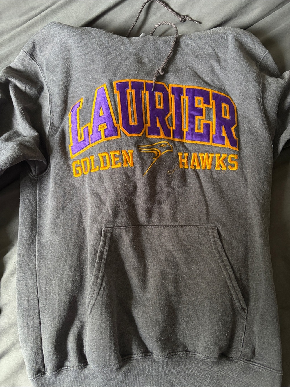 Champion Gray Zip-Up Sweatshirt with Purple & Gold Appliqué